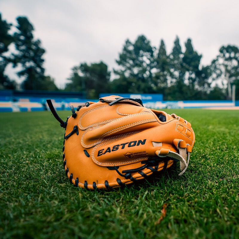 Picture of the back of a tan Professional Collection Color Splash catcher's mitt on a field