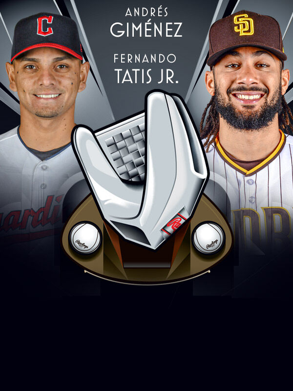 Rawlings Platinum Glove Award Learn & See The Winners Easton