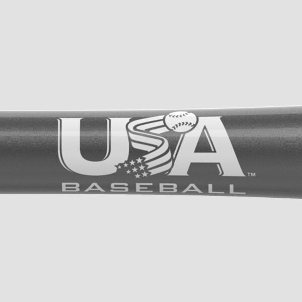 EASTON 'HAVOC' USA BASEBALL LEAGUE BAT 26 in/16 oz AUX 50